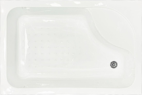 Душевой уголок Royal Bath BP RB8100BP-T-BL-R 100x80 с поддоном фото 3