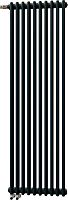 Радиатор стальной Zehnder Charleston Completto C2180/10 2-трубчатый, подключение V001, черный