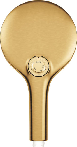Душевая лейка Grohe Rainshower SmartActive 130 26574GN0 холодный рассвет фото 3