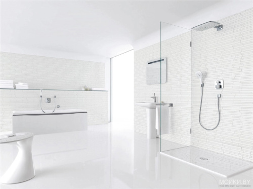 Душевая лейка Hansgrohe PuraVida 28557400 фото 3